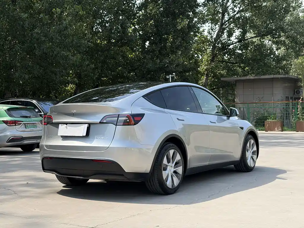 Tesla Model Y — миниатюра 9