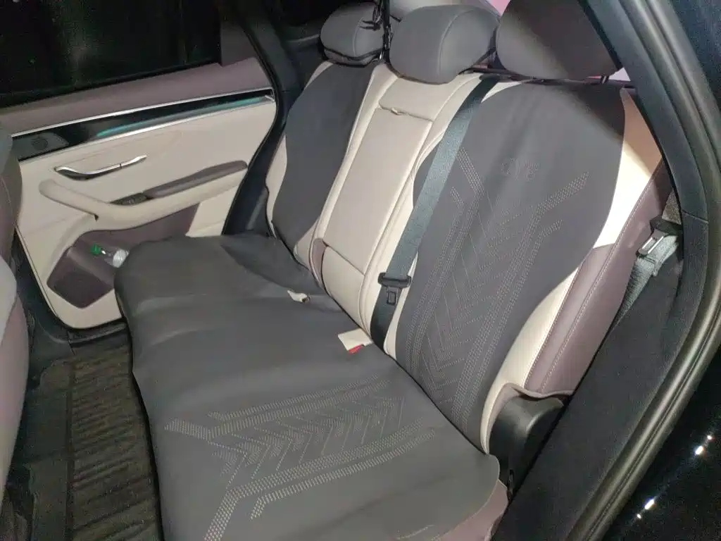 BYD PLUS New Energy — миниатюра 18