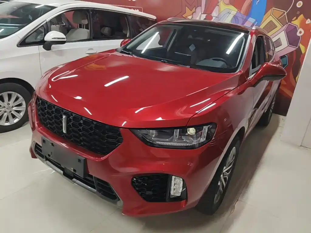 Wey Wey VV5