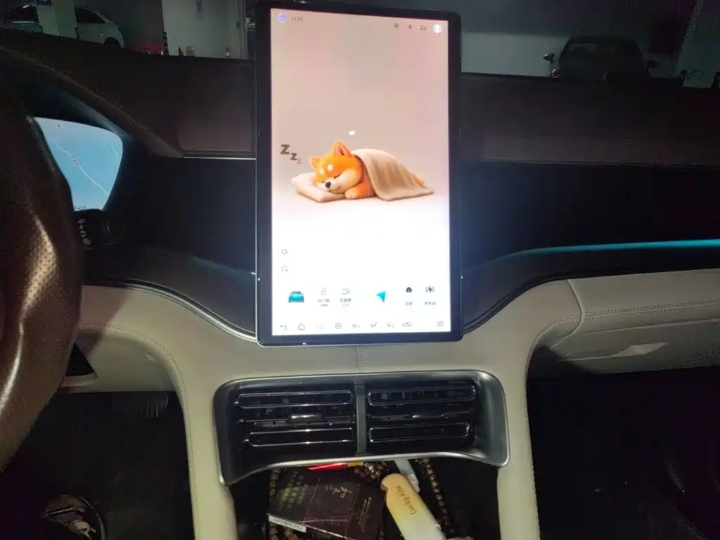 BYD PLUS New Energy — миниатюра 14