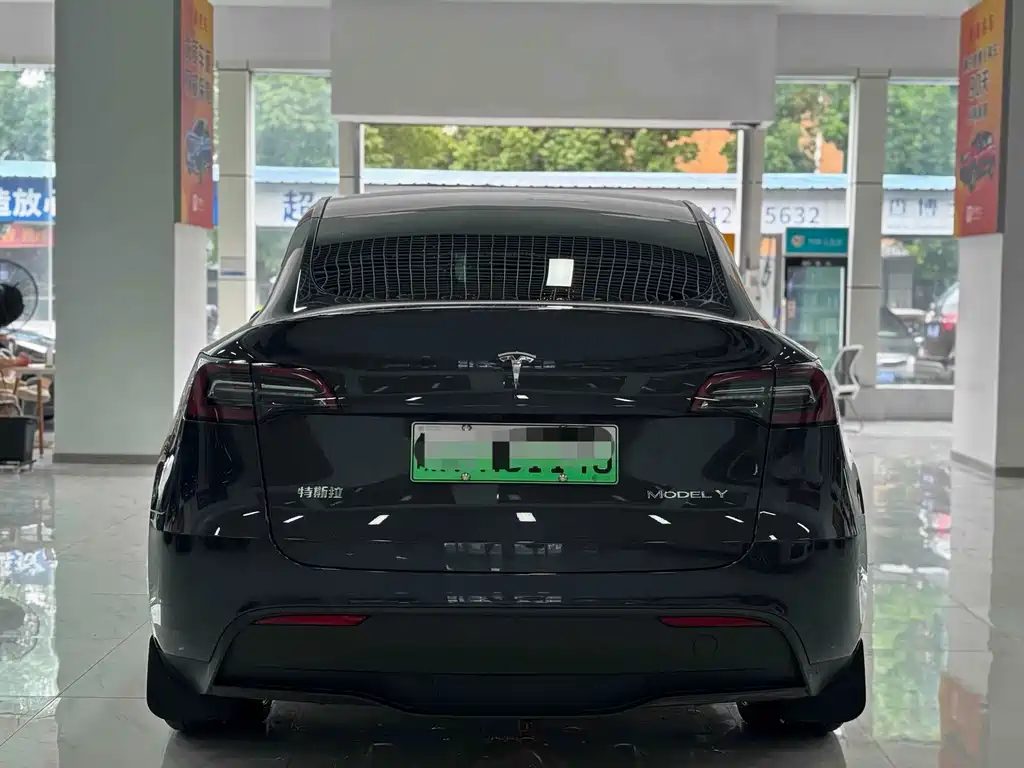 Tesla Model Y — миниатюра 10