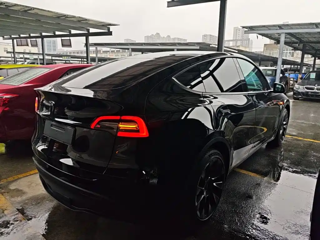 Tesla Model Y — миниатюра 7