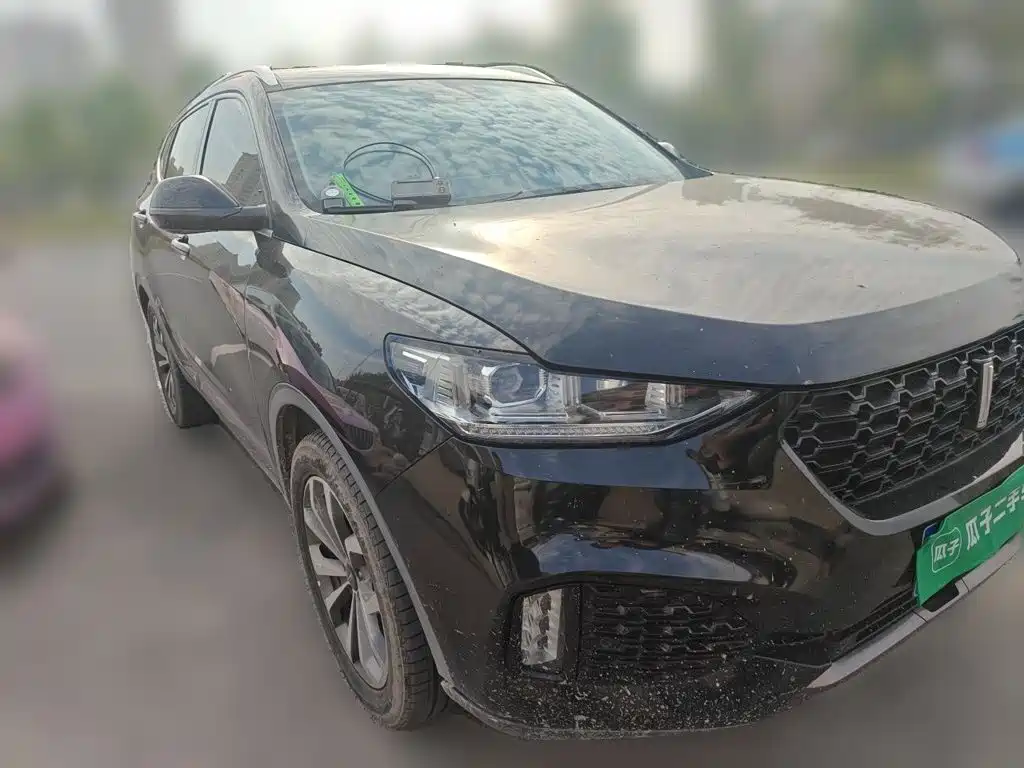 Wey Wey VV6 — миниатюра 24