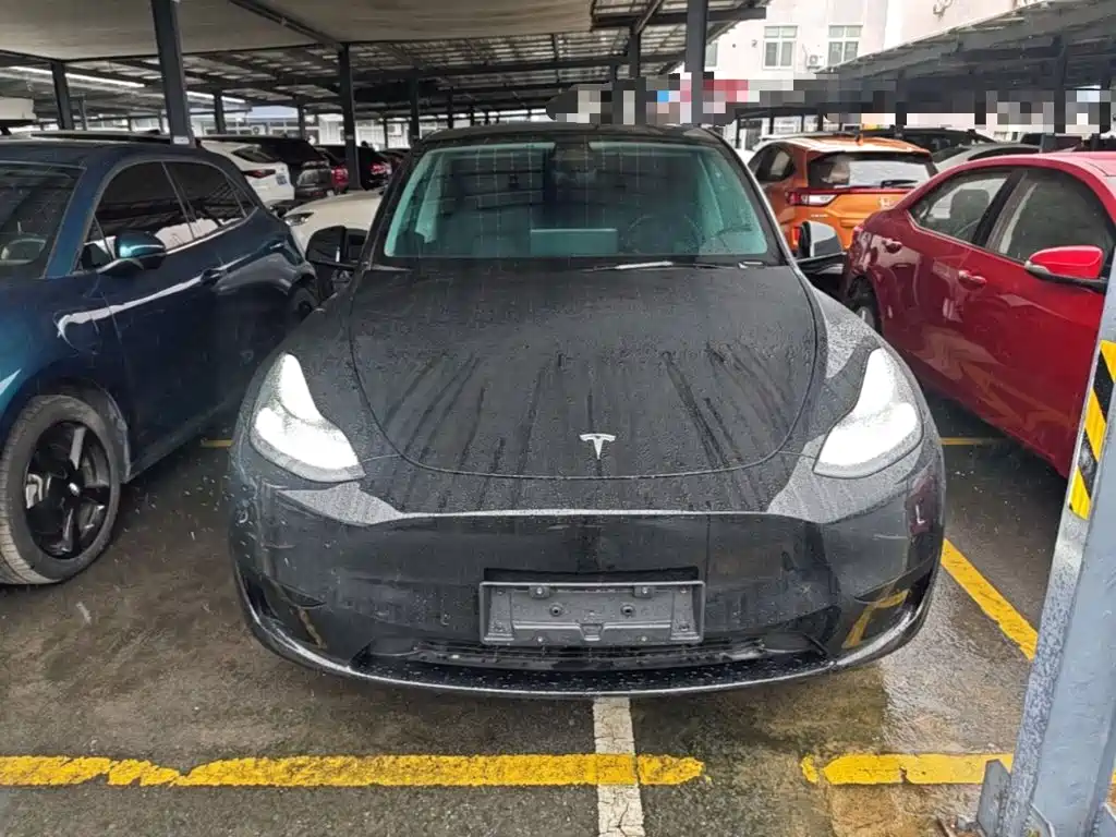 Tesla Model Y — миниатюра 3