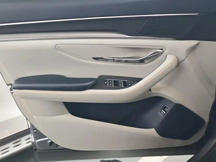 BYD PLUS New Energy — миниатюра 7