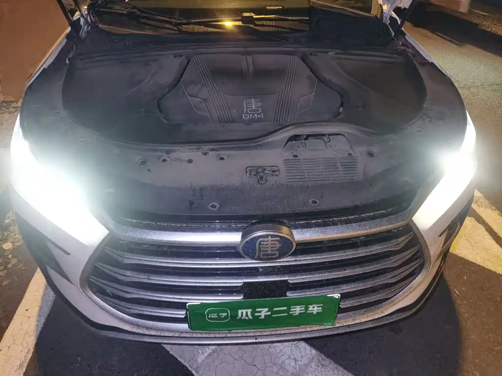 BYD Tang New Energy — миниатюра 21