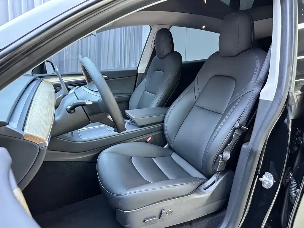 Tesla Model Y — миниатюра 8