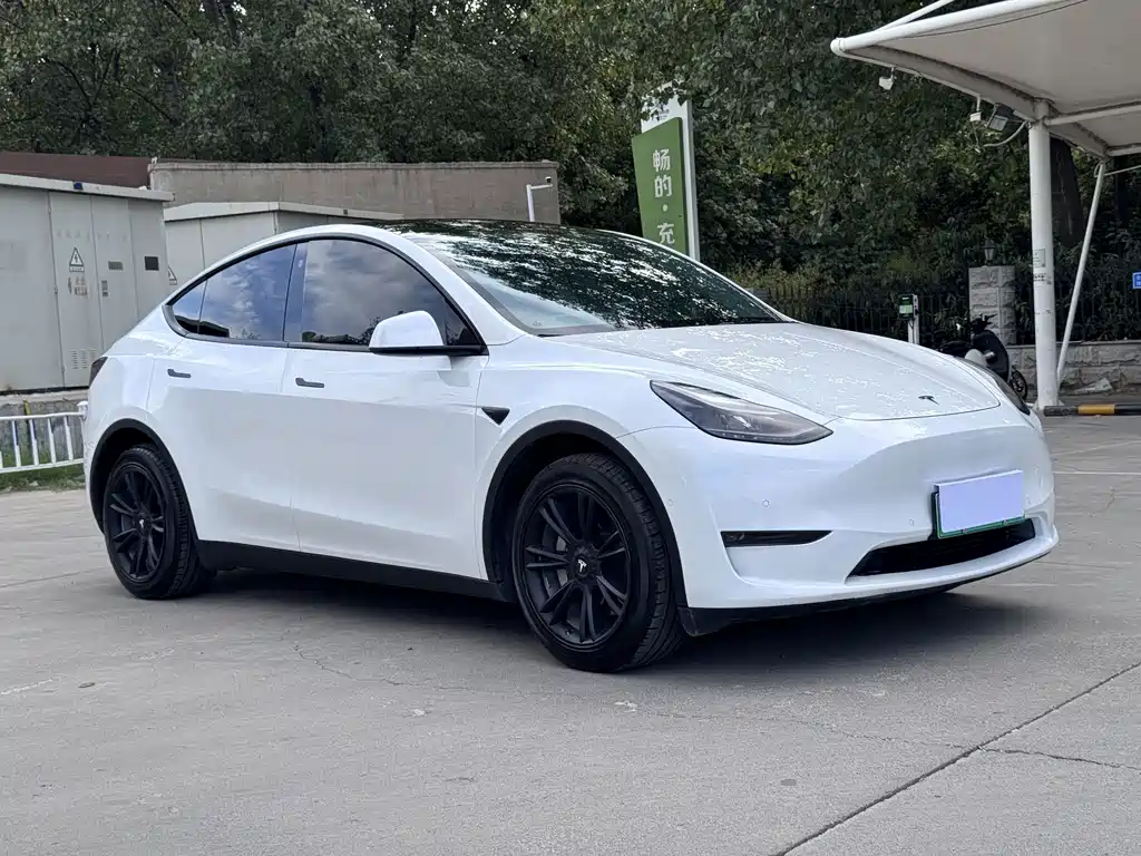 Tesla Model Y — миниатюра 6