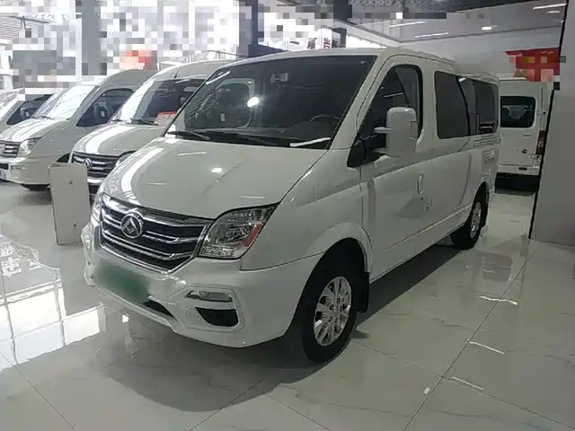 Maxus V80 2019