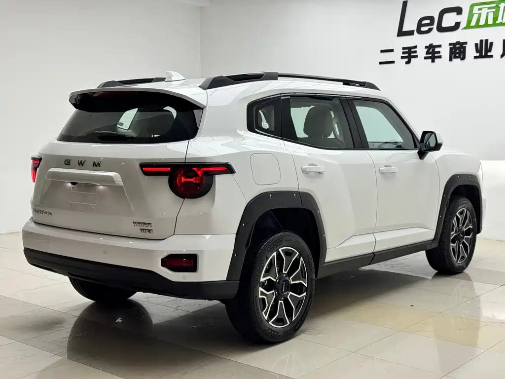 Haval Big Dog PLUS New Energy — миниатюра 20