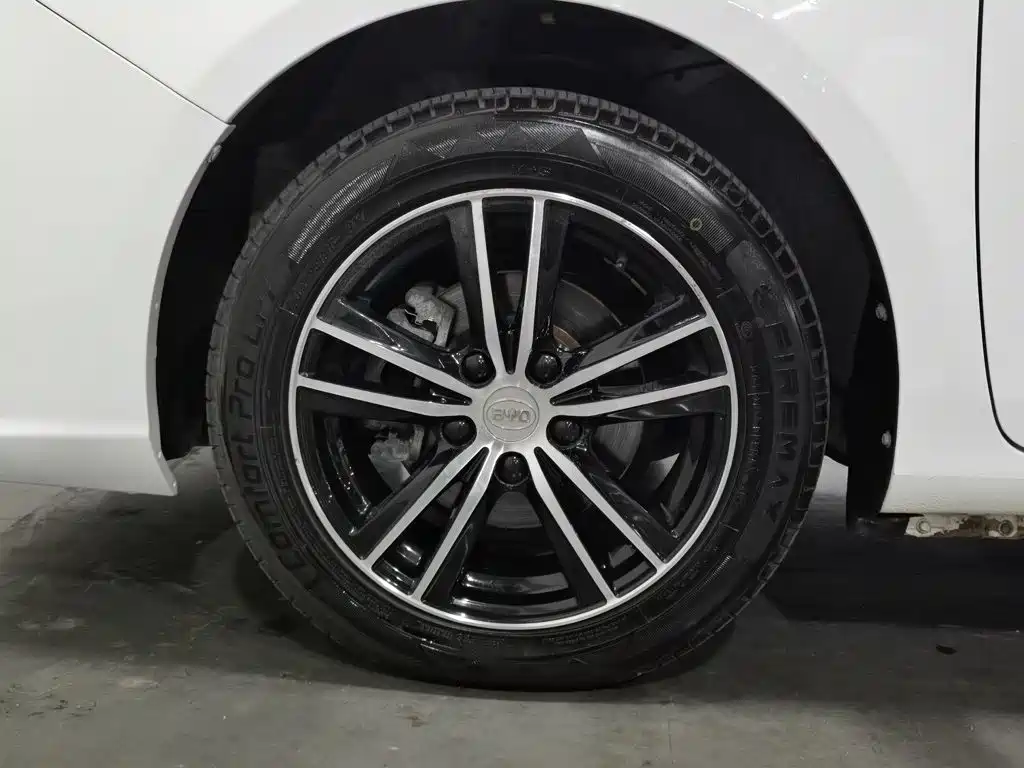 BYD Surui — миниатюра 17