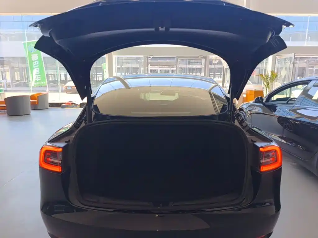 Tesla Model 3 — миниатюра 19