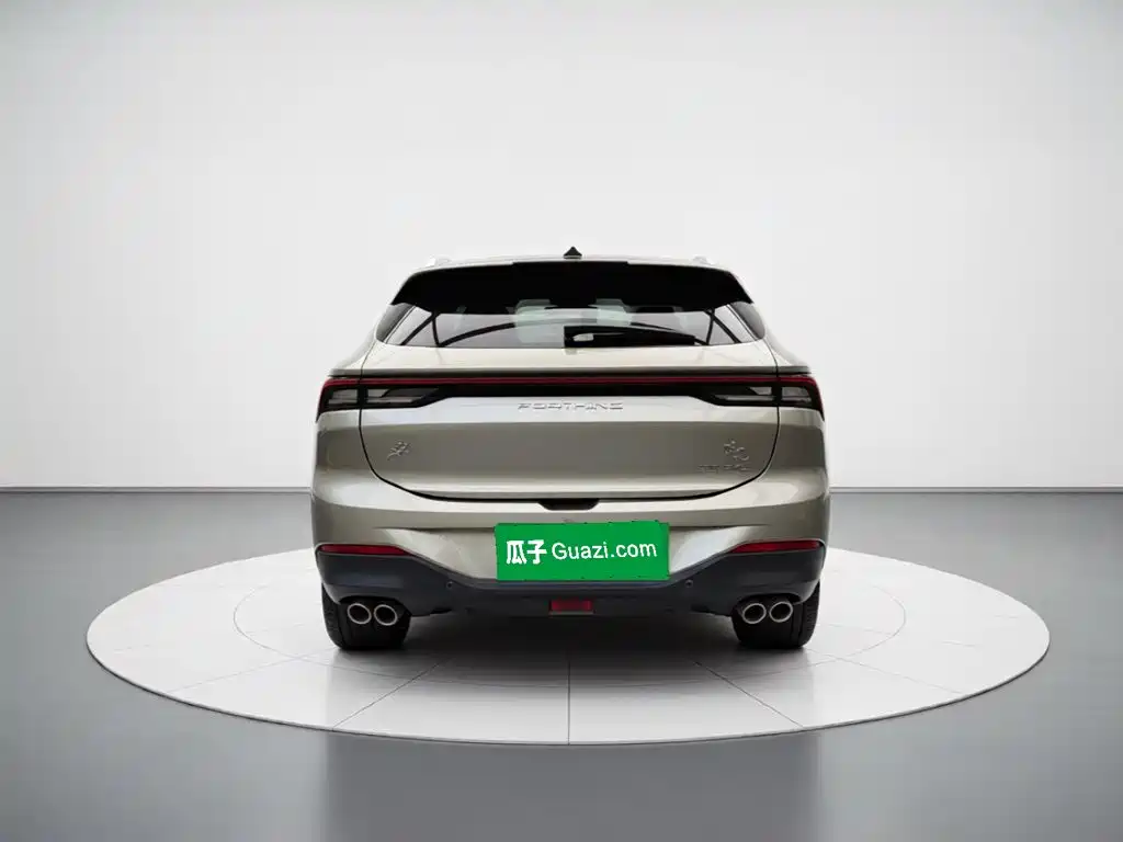 Fengxing Fengxing T5 EVO — миниатюра 3