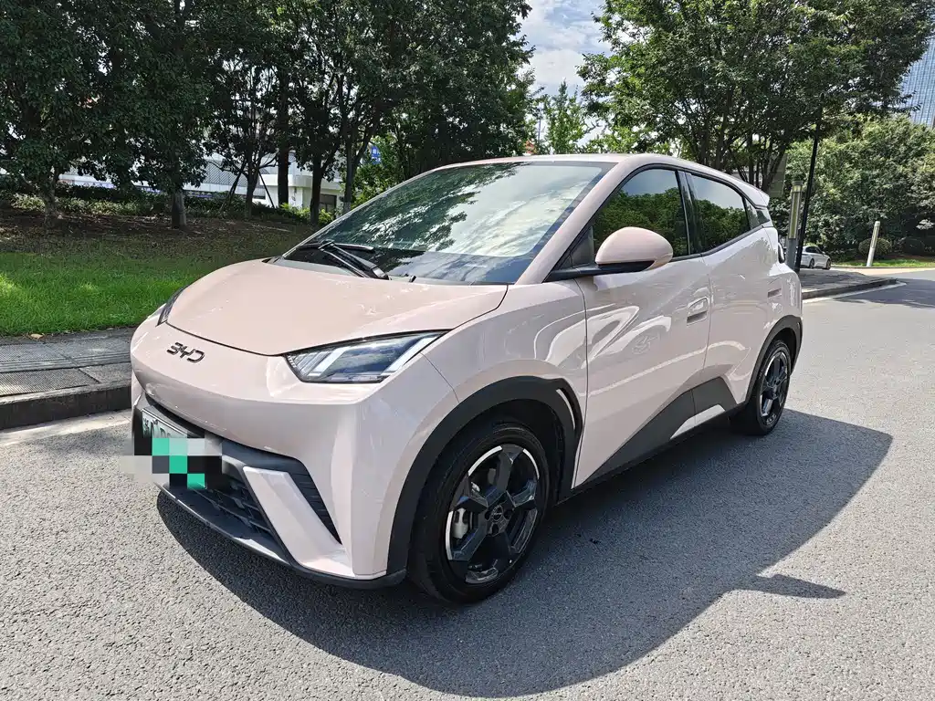 2024 BYD Seagull - zdjęcie 1 z 9