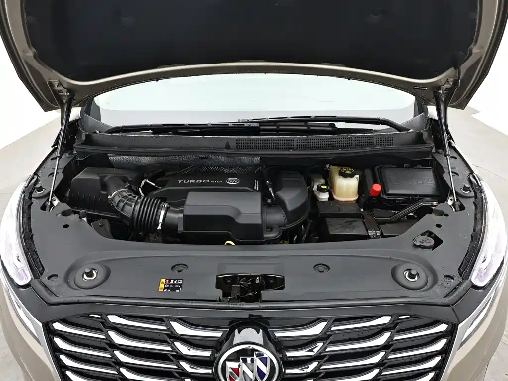 Buick GL8 — миниатюра 16