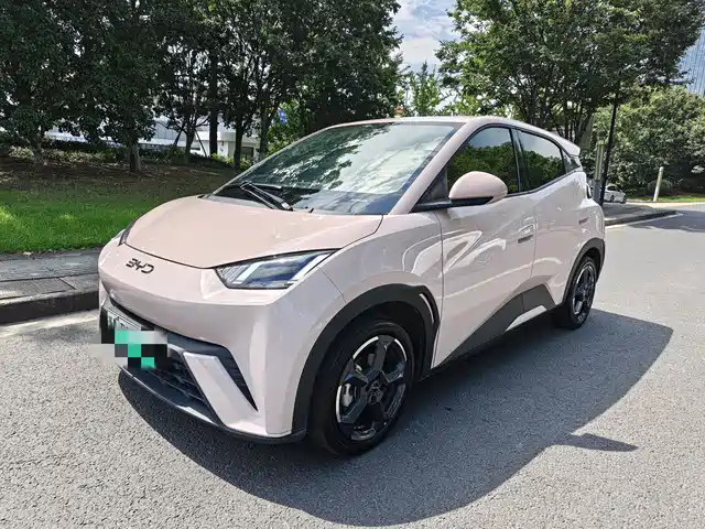 2024 BYD Seagull