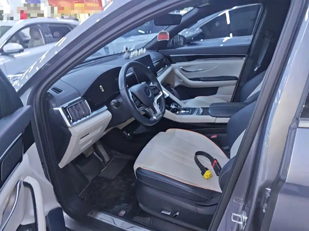 BYD PLUS New Energy — миниатюра 16