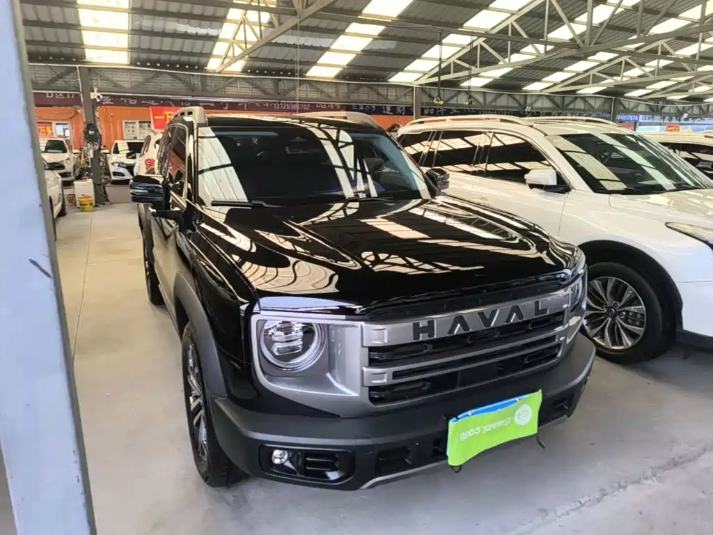 Haval 长城大狗 — миниатюра 4