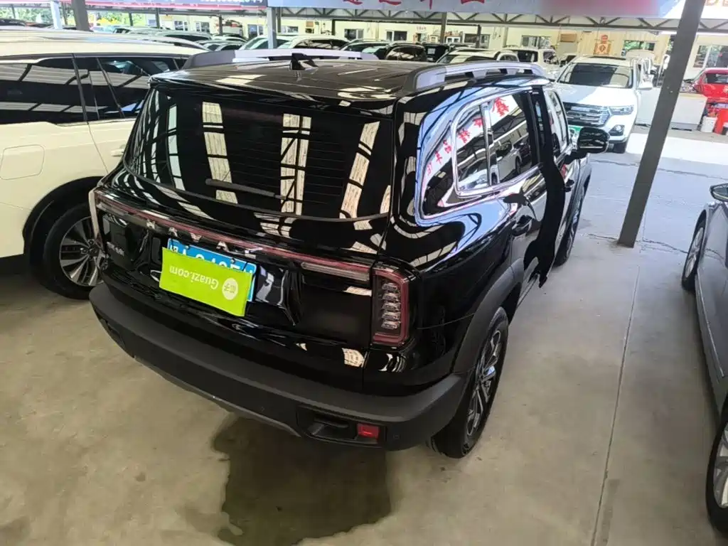 Haval 长城大狗 — миниатюра 7