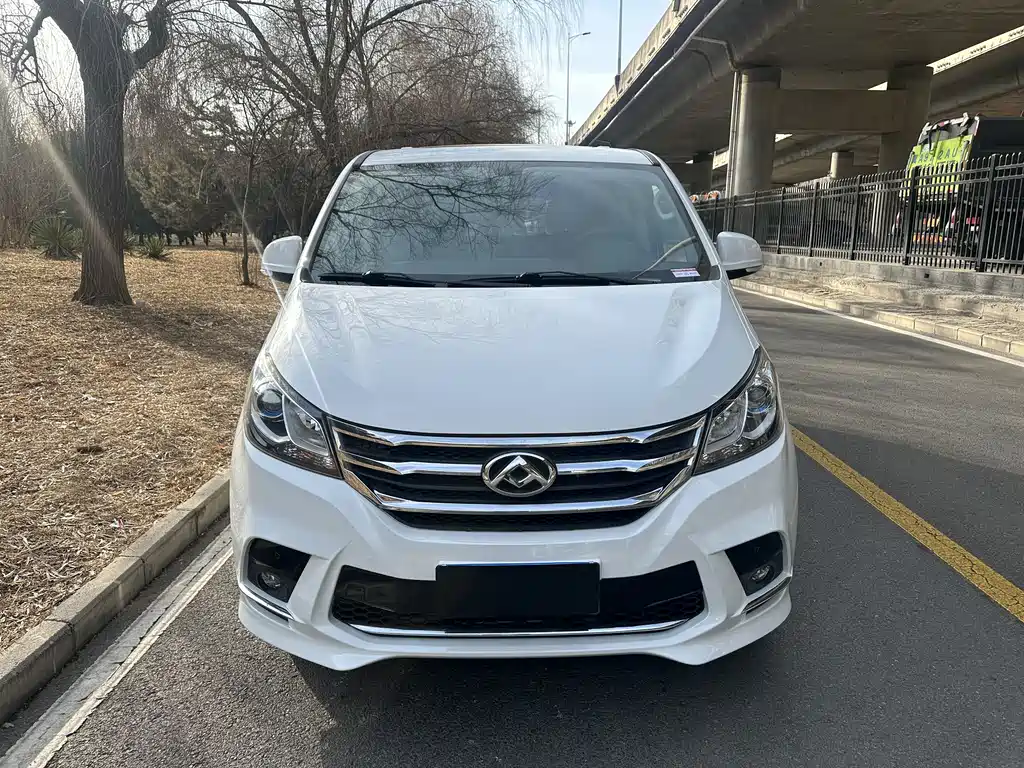 SAIC MAXUS CHASE G10