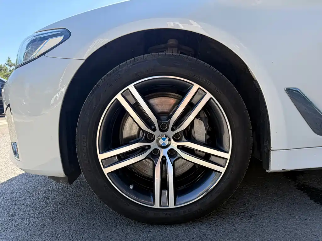 BMW 5 Series 5 2022 530Li Lead Luxury