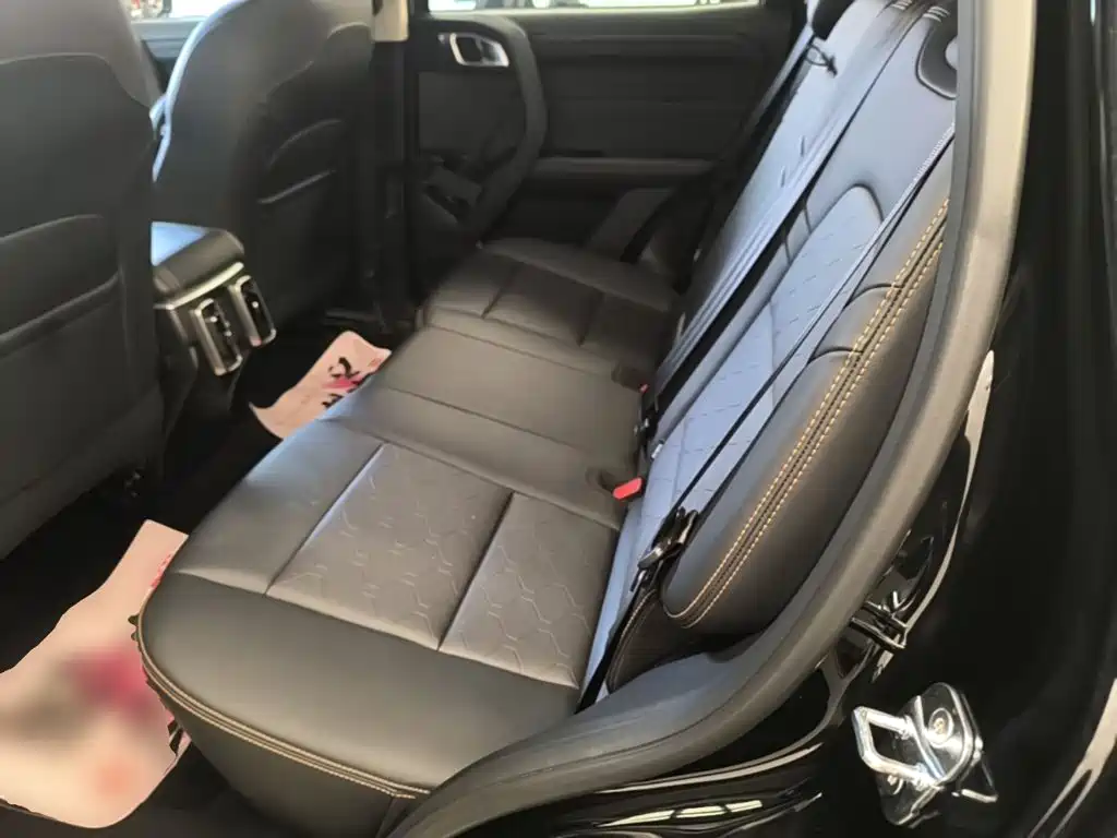 Haval 长城大狗 — миниатюра 17
