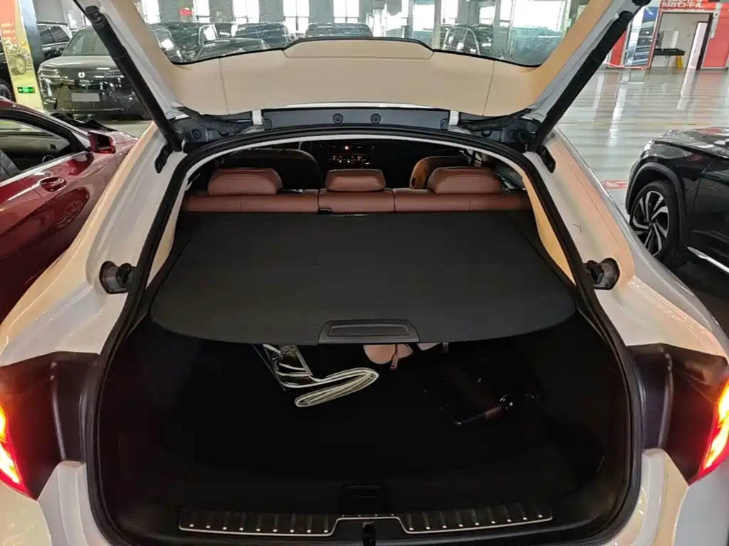 BMW X6 — миниатюра 19