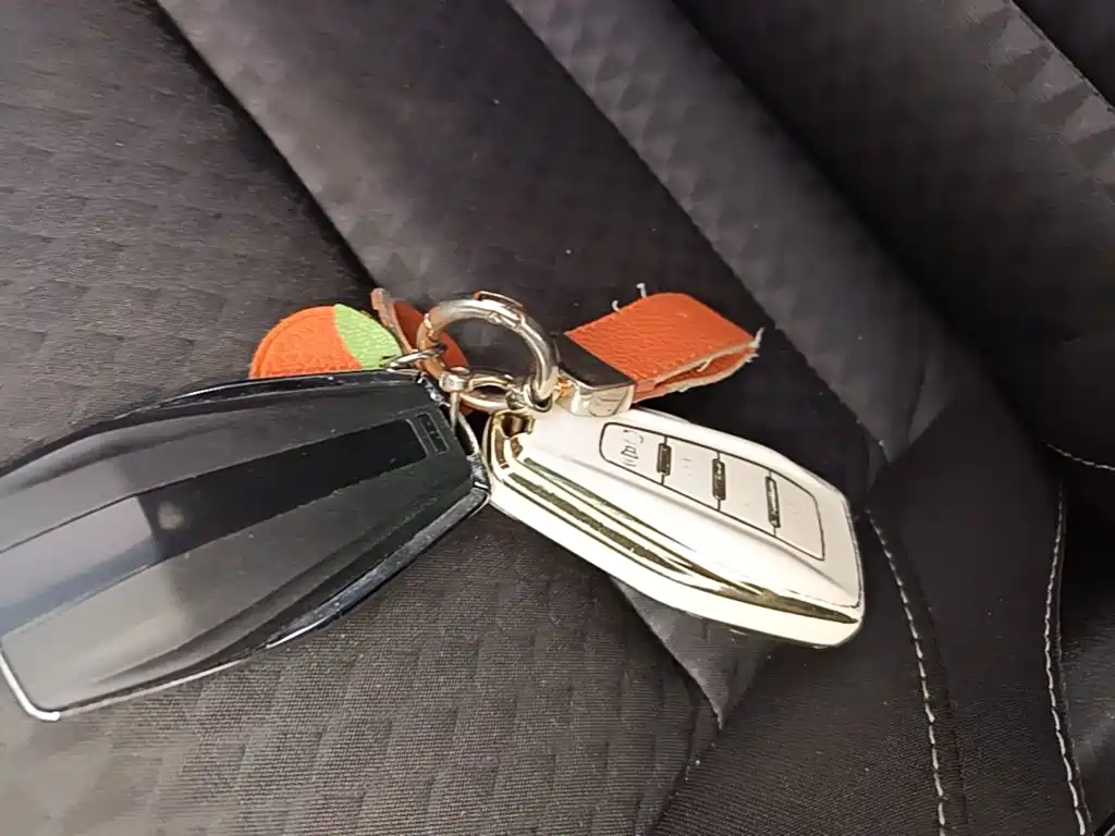 Geely Emgrand — миниатюра 9
