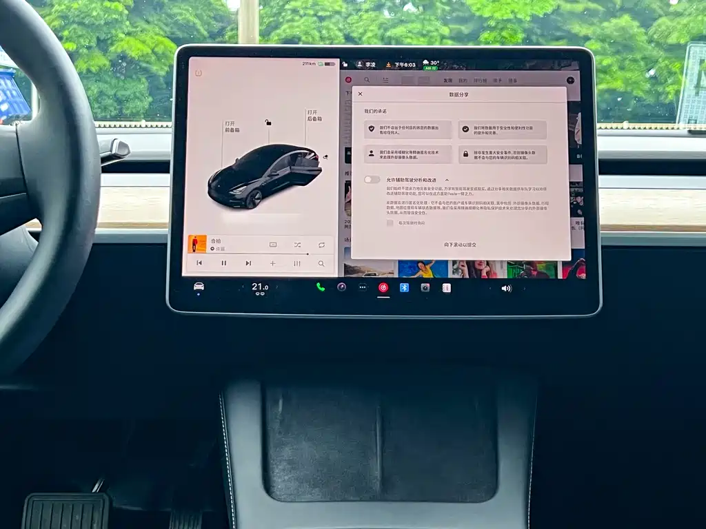 Tesla Model 3 2021 3D6