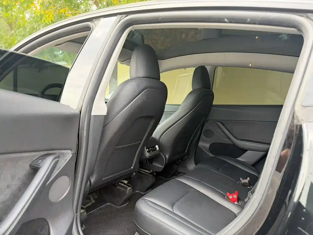 Tesla Model Y — миниатюра 10