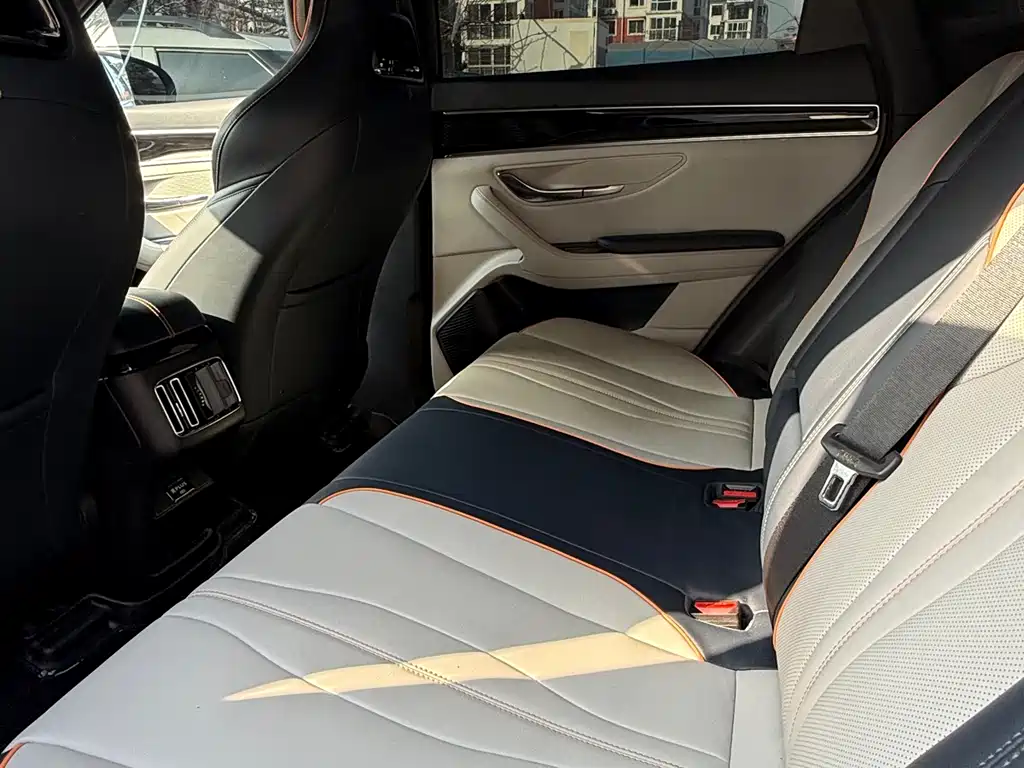 BYD SONGJIANG NEW ENERGY