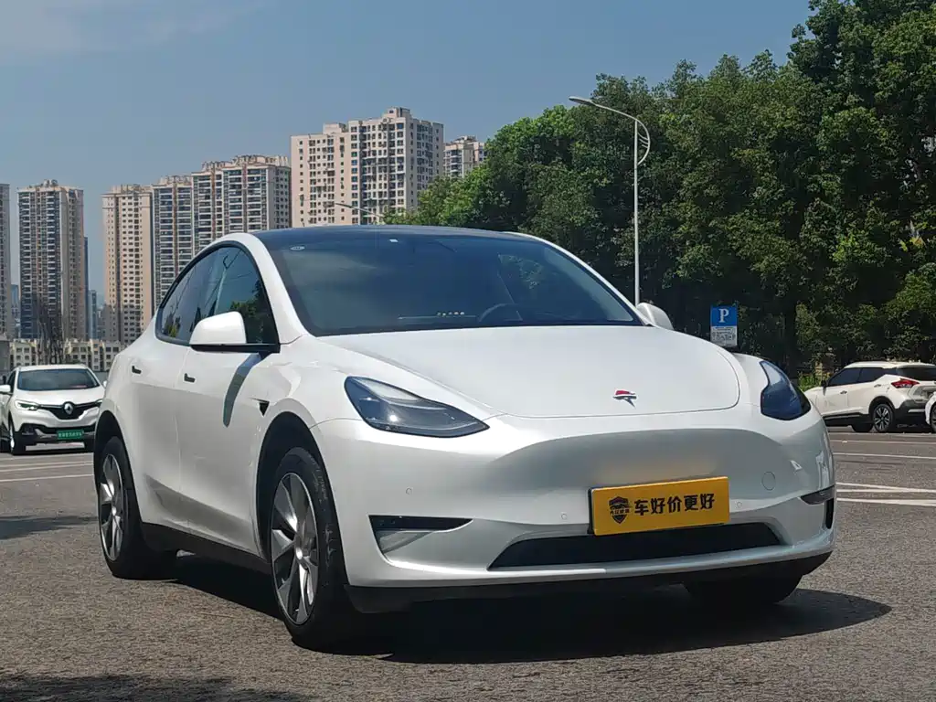 Tesla Model Y — миниатюра 2