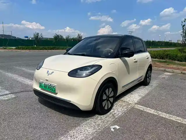 2025 Wuling Motors Binguo