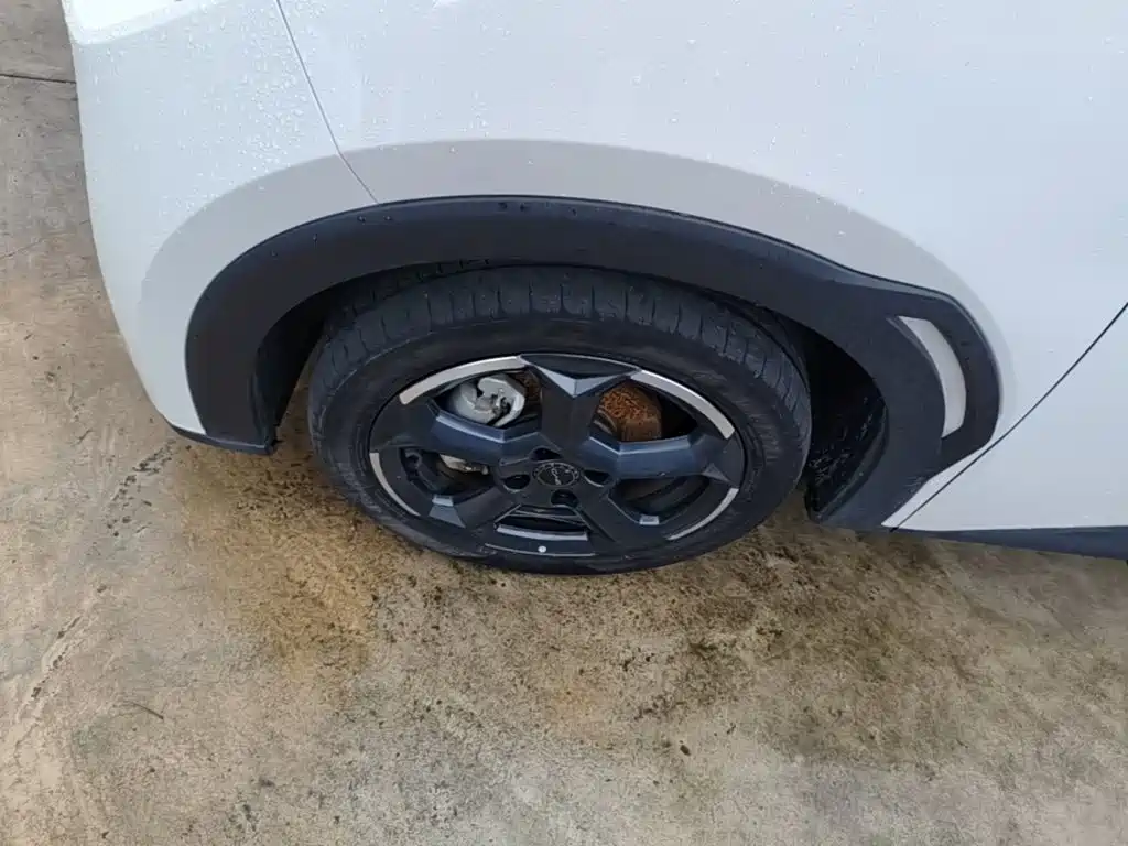 BYD Seagull — миниатюра 23