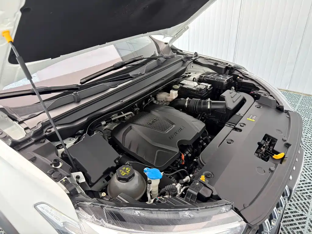 Haval Chitu — миниатюра 24