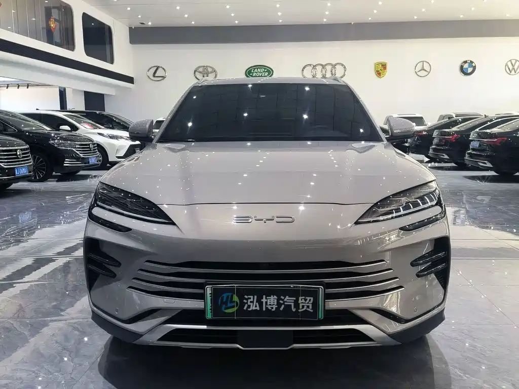 BYD PLUS New Energy — миниатюра 2