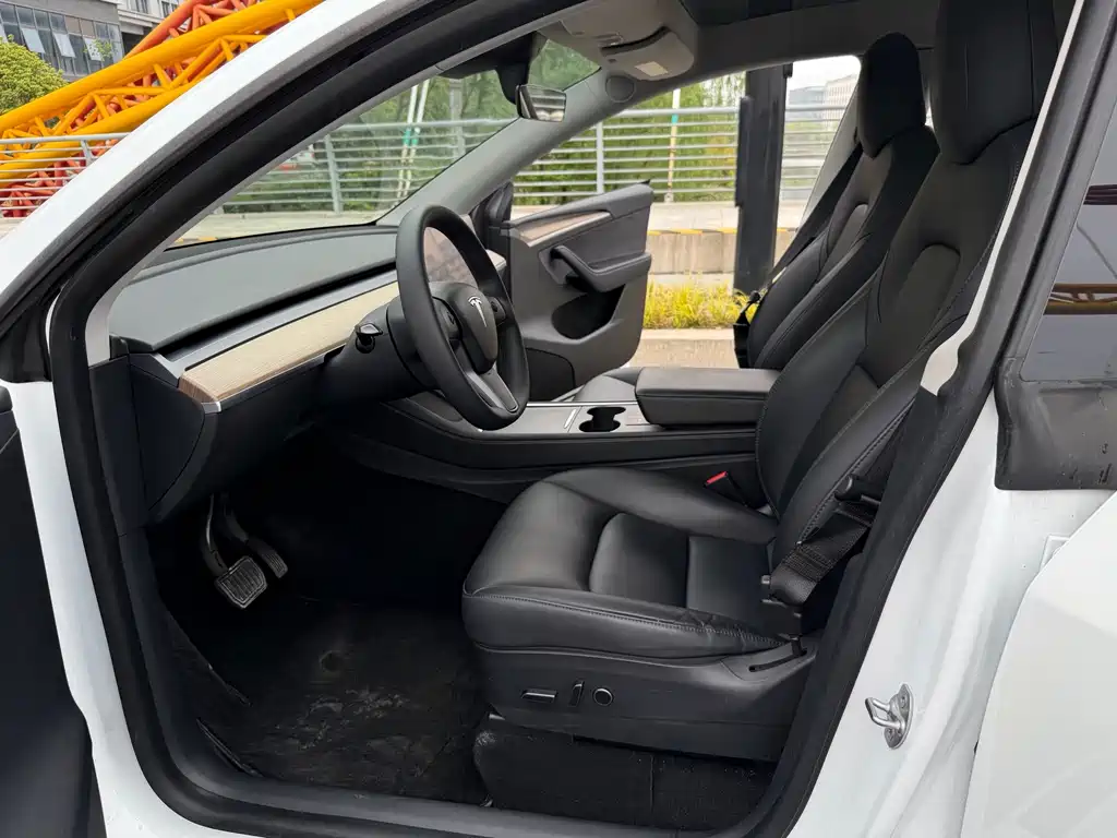Tesla Model Y — миниатюра 4