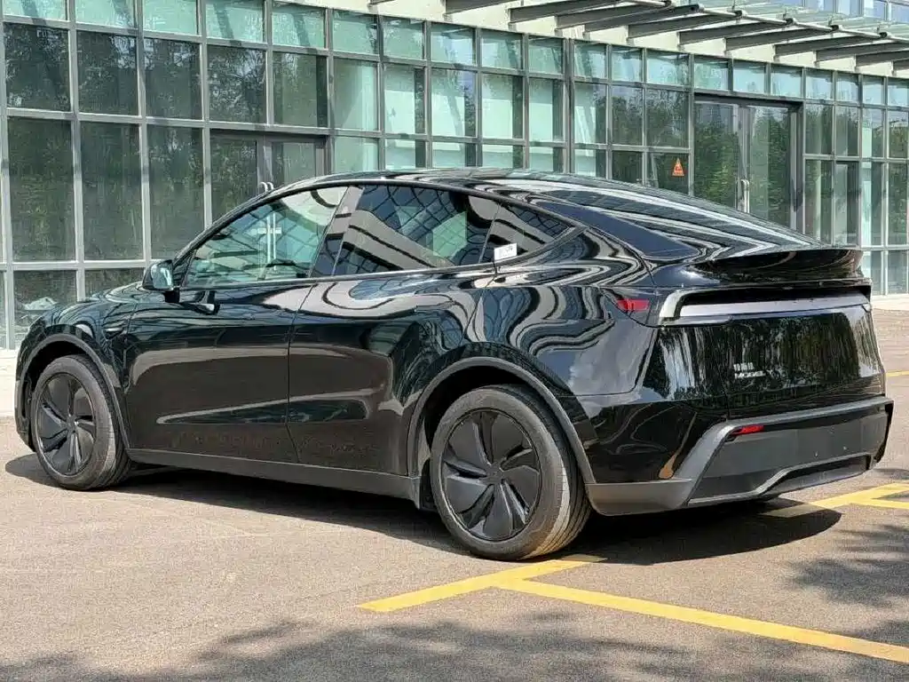 Tesla Model Y — миниатюра 6