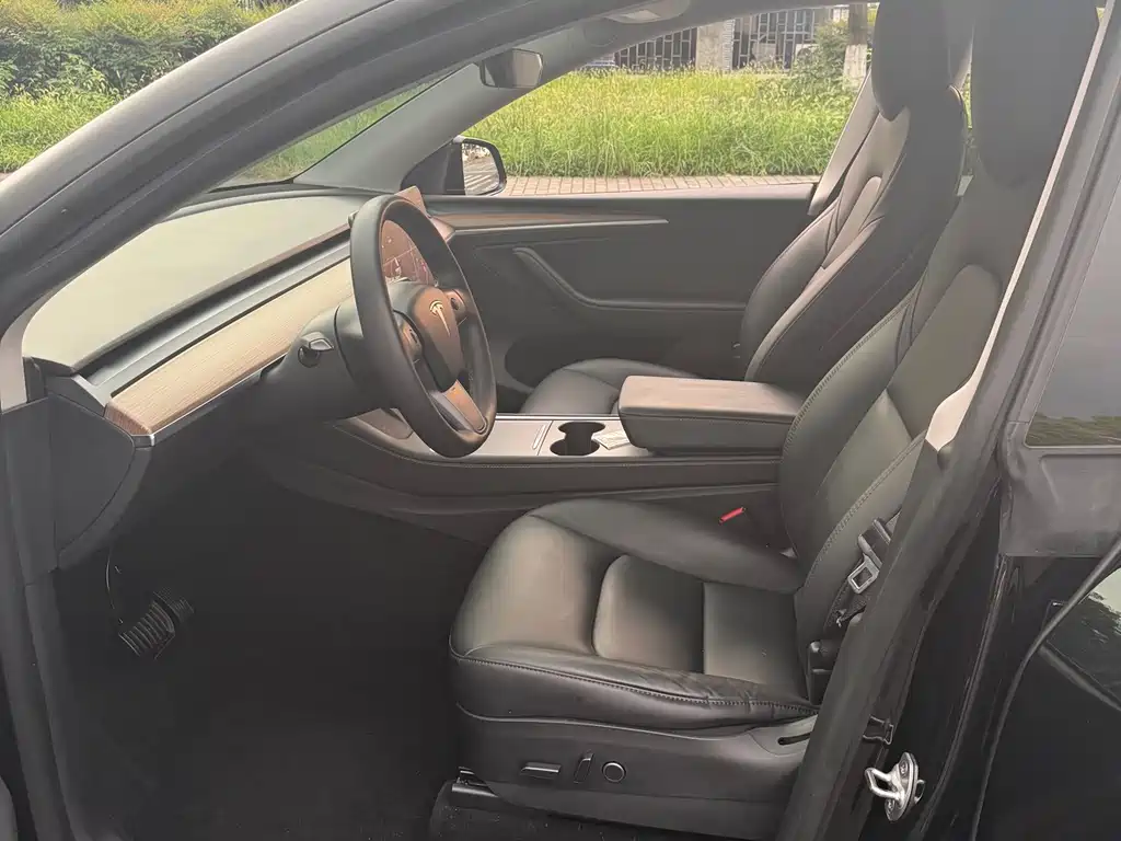 Tesla Model Y — миниатюра 12