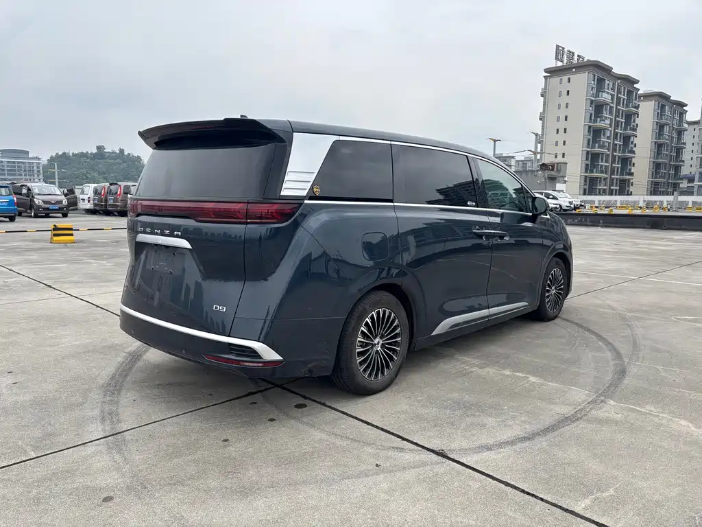 Denza Denza D9 — миниатюра 6