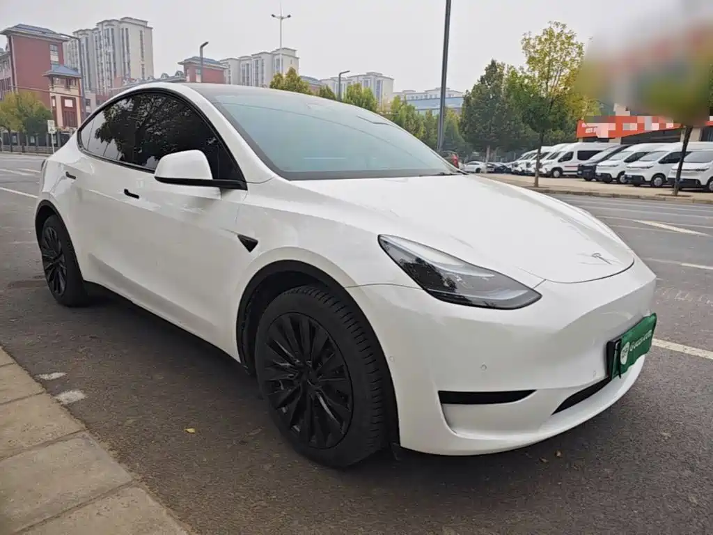Tesla Model Y — миниатюра 4