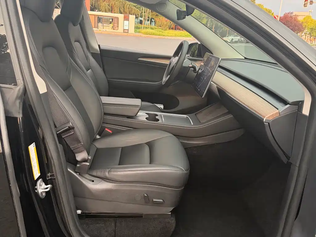 Tesla Model Y — миниатюра 9