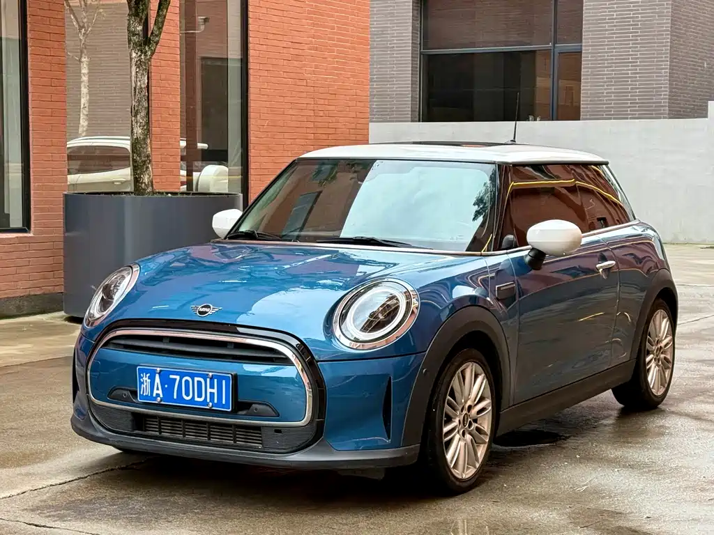 Mini Mini 2021