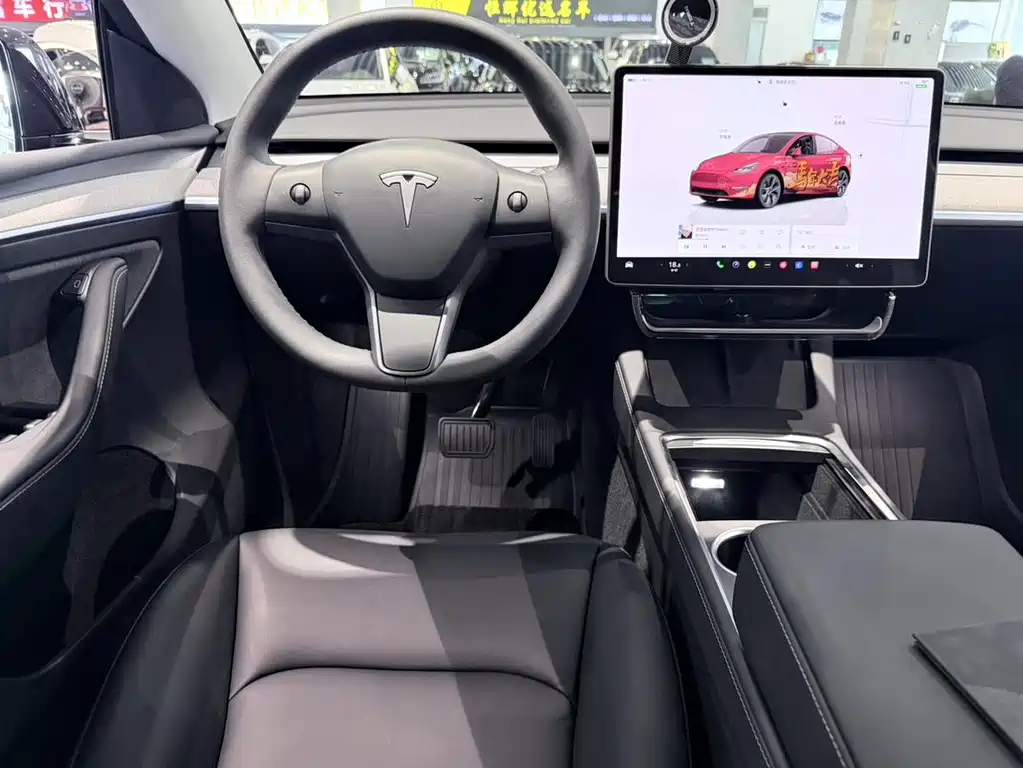 Tesla Model Y — миниатюра 10