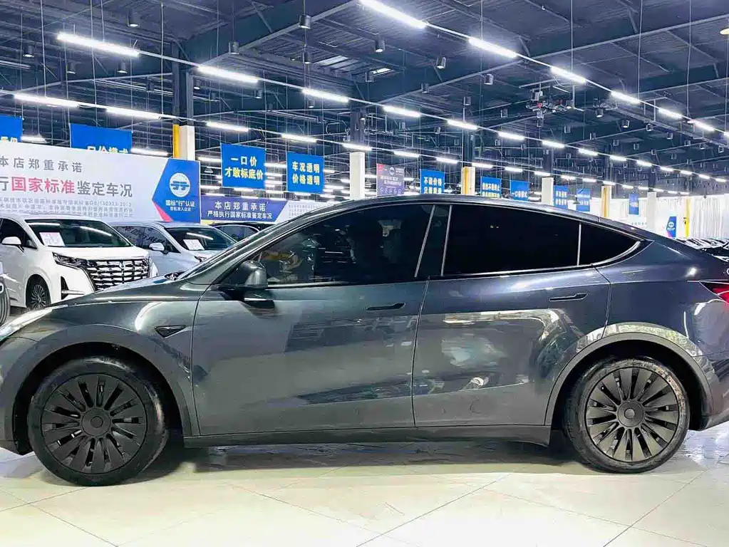 Tesla Model Y — миниатюра 5