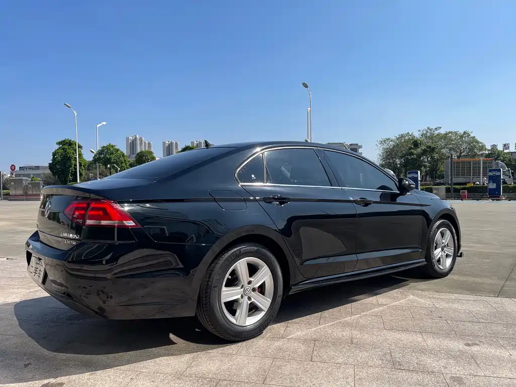 Volkswagen Lamando — миниатюра 5