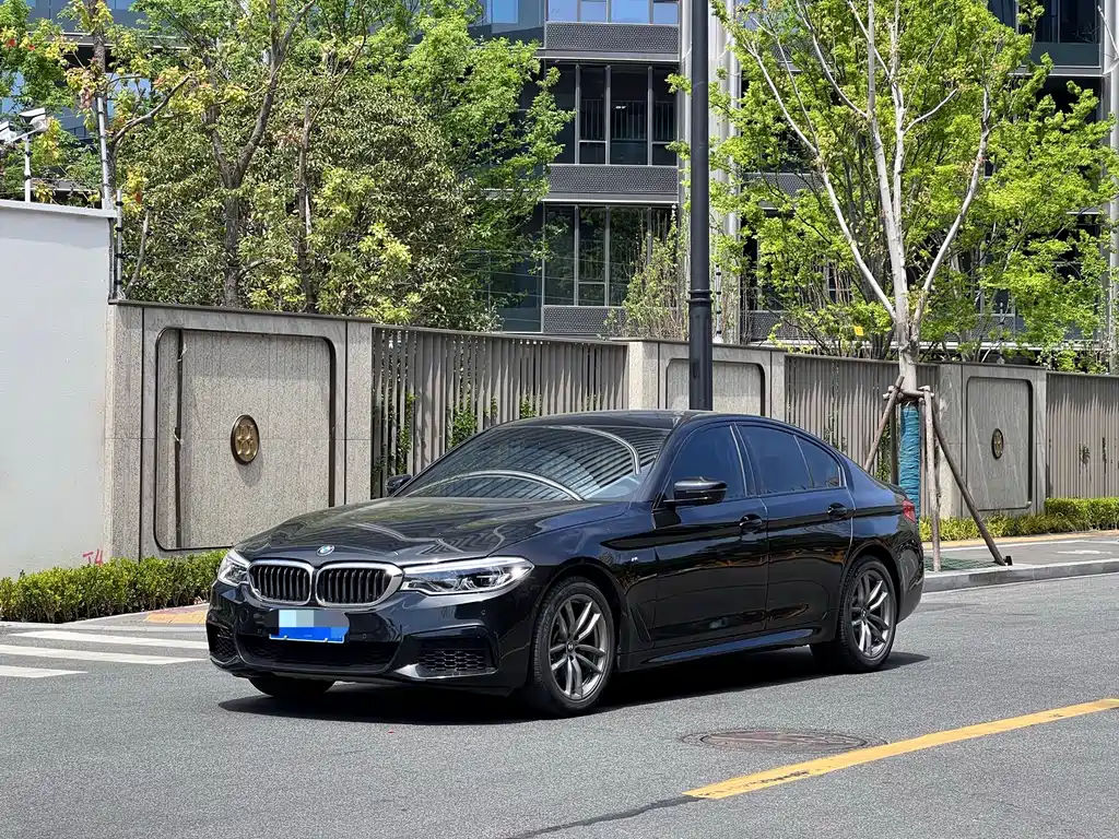 BMW 5 Series (Import) 2020