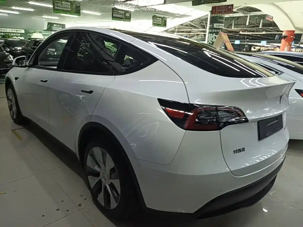 Tesla Model Y — миниатюра 5