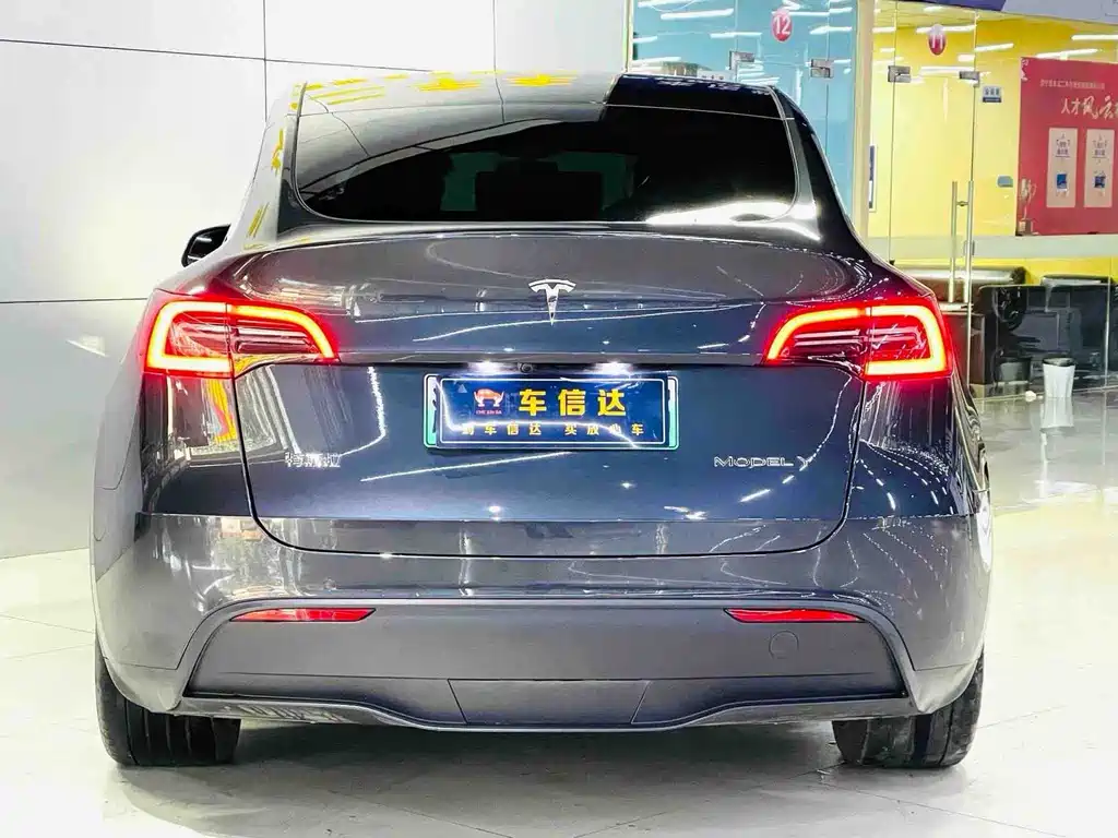 Tesla Model Y — миниатюра 4