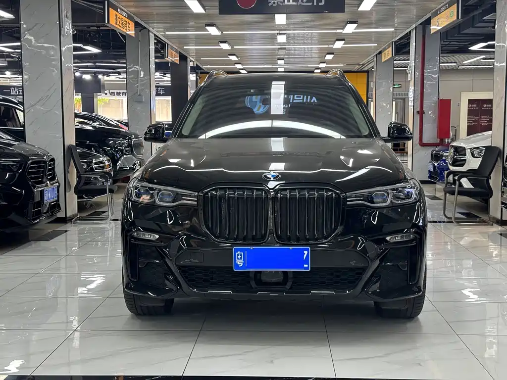 BMW X7 — миниатюра 2
